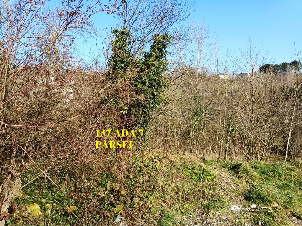 Arsa/Arazi - ZONGULDAK ÇAYCUMA - 136,04 m²
