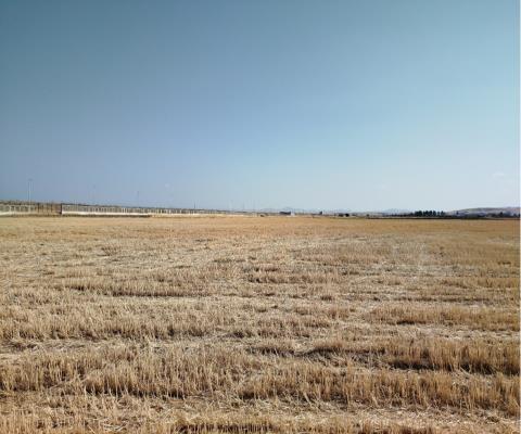 Arsa/Arazi - ANKARA AKYURT - 16.381,64 m²