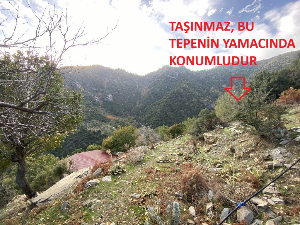 Satılık Tarla - Aydın Efeler