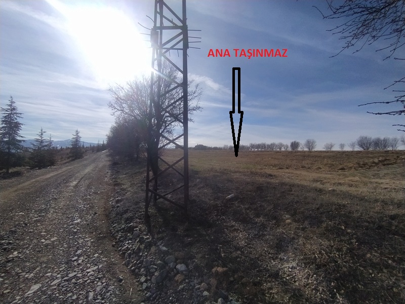 Satılık Tarla - Elazığ Merkez ilan görseli 23