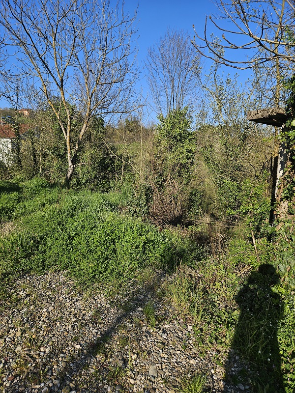 Görsel 5