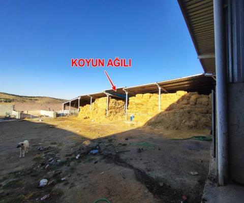 Konya Sarayönü Satılık Muhtelif Arsa — foto 11