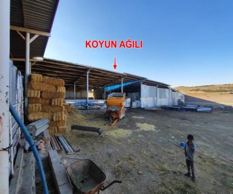 Konya Sarayönü Satılık Muhtelif Arsa — foto 12