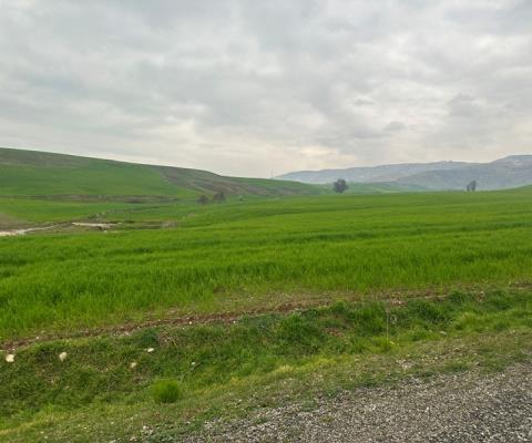 Diyarbakır Silvan Satılık Tarla