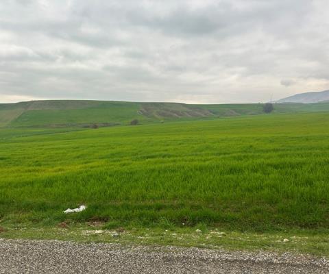 Diyarbakır Silvan Satılık Tarla — foto 2