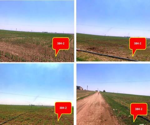 Şanlıurfa Ceylanpınar Satılık Tarla — foto 2