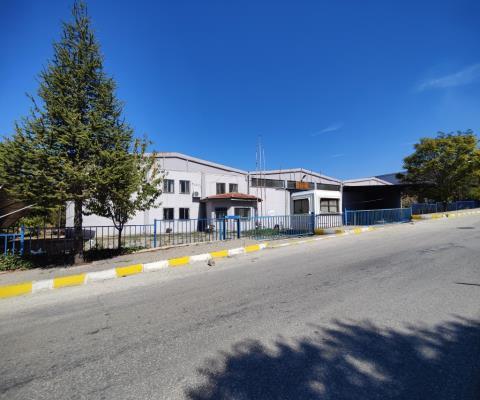 Uşak Merkez Satılık Fabrika
