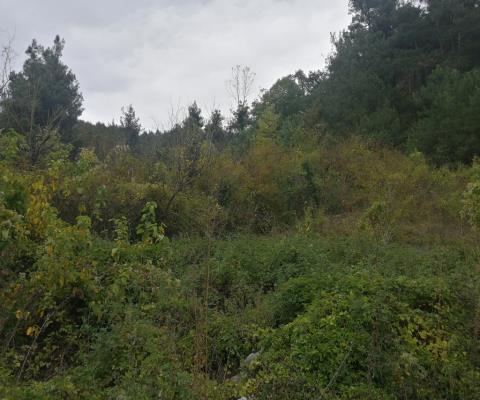 Bursa Osmangazi Satılık Tarla