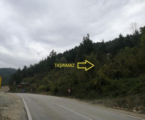 Bursa Osmangazi Satılık Tarla — foto 3