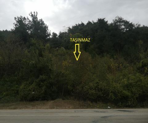 Bursa Osmangazi Satılık Tarla — foto 4