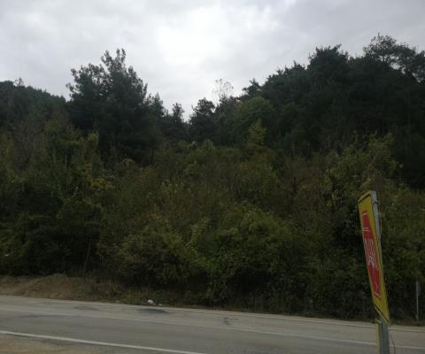 Bursa Osmangazi Satılık Tarla — foto 5