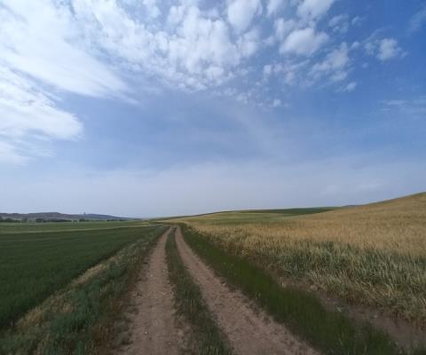 Ankara Sincan Satılık 45.146m2 Tarla