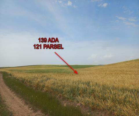 Ankara Sincan Satılık 45.146m2 Tarla — foto 4