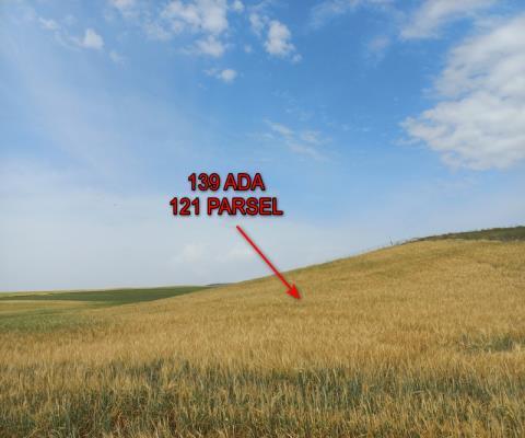 Ankara Sincan Satılık 45.146m2 Tarla — foto 5