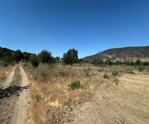 Isparta Merkez 3010 M2 Tarla