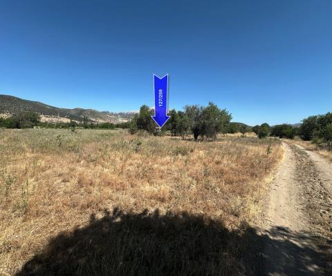 Isparta Merkez 3010 M2 Tarla — foto 3