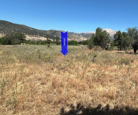 Isparta Merkez 3010 M2 Tarla — foto 4