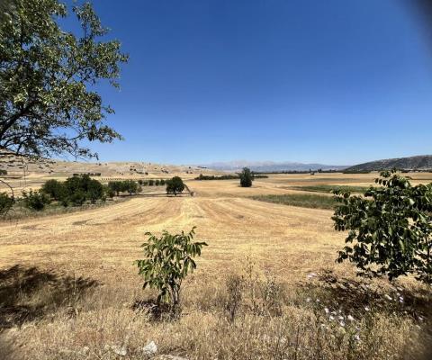 Isparta Merkez 3187 M2 Tarla