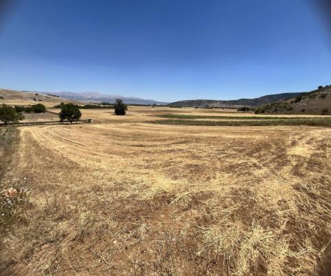 Isparta Merkez 3187 M2 Tarla — foto 2