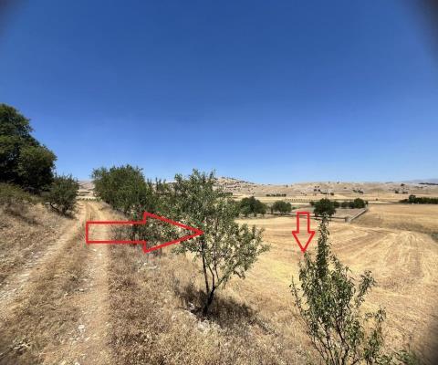 Isparta Merkez 3187 M2 Tarla — foto 3