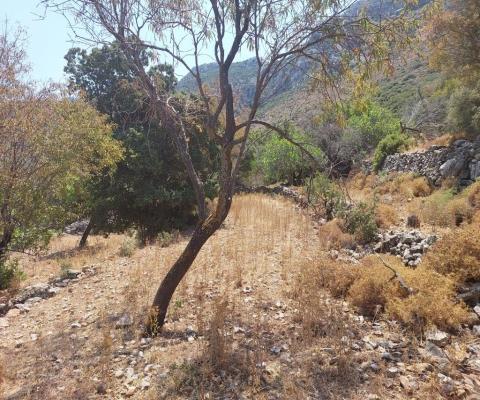 Muğla Marmaris 1196 M2 Muhtelif Arsa