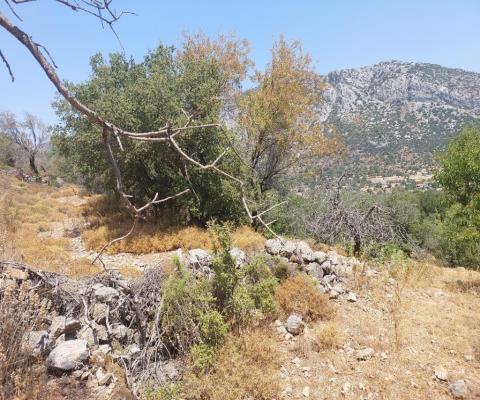 Muğla Marmaris 1196 M2 Muhtelif Arsa — foto 2