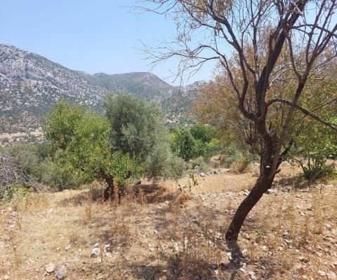 Muğla Marmaris 1196 M2 Muhtelif Arsa — foto 4