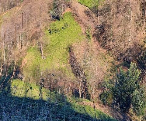 Artvin Hopa 2921.51 M2 + Muhtelif Arsa