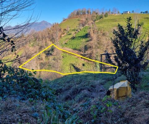 Artvin Hopa 2921.51 M2 + Muhtelif Arsa — foto 3