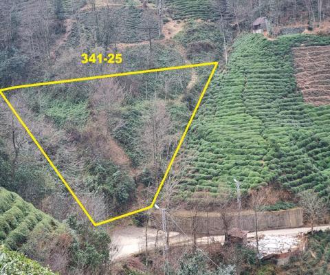 Artvin Hopa 1198.83 M2 + Muhtelif Arsa — foto 2