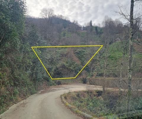 Artvin Hopa 1198.83 M2 + Muhtelif Arsa — foto 3