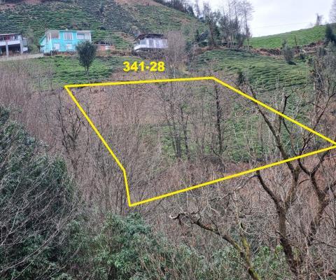 Artvin Hopa 1658.46 M2 + Muhtelif Arsa — foto 2