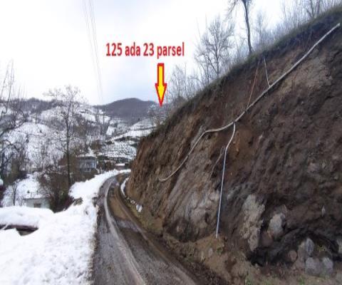 Samsun Ayvacık Satılık Bahçe — foto 3