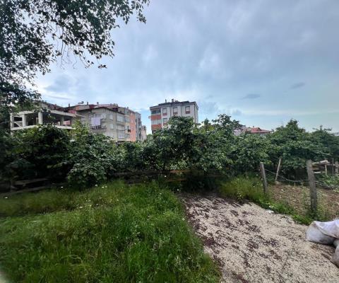 Giresun Espiye Satılık Muhtelif Arsa