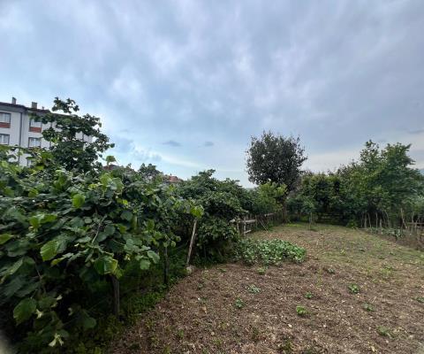 Giresun Espiye Satılık Muhtelif Arsa — foto 2