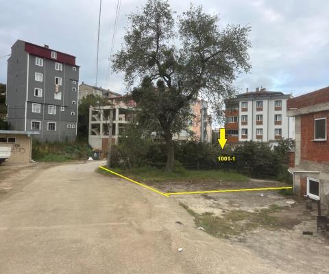 Giresun Espiye Satılık Muhtelif Arsa — foto 3