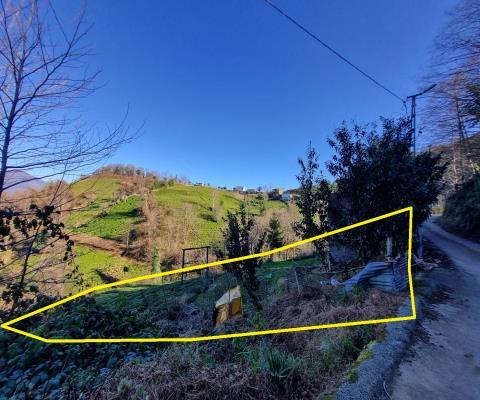 Artvin Hopa 3921.16 M2 + Muhtelif Arsa — foto 3