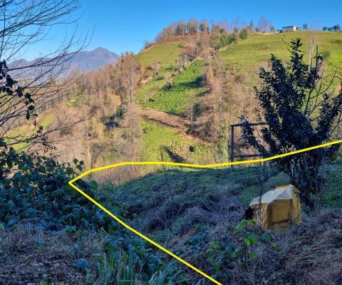 Artvin Hopa 3921.16 M2 + Muhtelif Arsa — foto 4