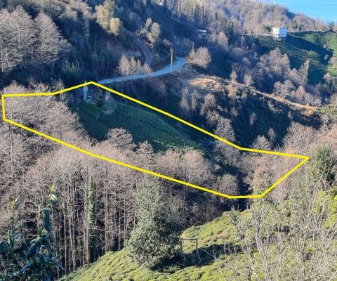 Artvin Hopa 3921.16 M2 + Muhtelif Arsa — foto 5