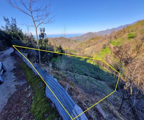 Artvin Hopa 3921.16 M2 + Muhtelif Arsa — foto 6