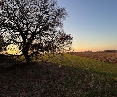 Kırklareli Lüleburgaz 15000.00 M2 + Tarla — foto 2