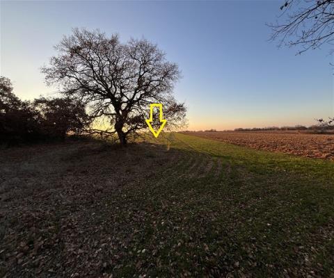 Kırklareli Lüleburgaz 15000.00 M2 + Tarla — foto 3