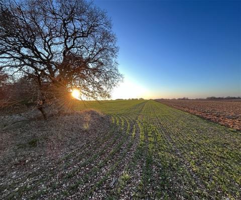 Kırklareli Lüleburgaz 15000.00 M2 + Tarla — foto 4