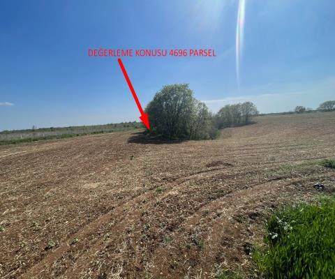 Kırklareli Lüleburgaz Satılık 16.000m2 Tarla — foto 2