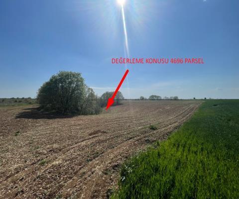 Kırklareli Lüleburgaz Satılık 16.000m2 Tarla — foto 3