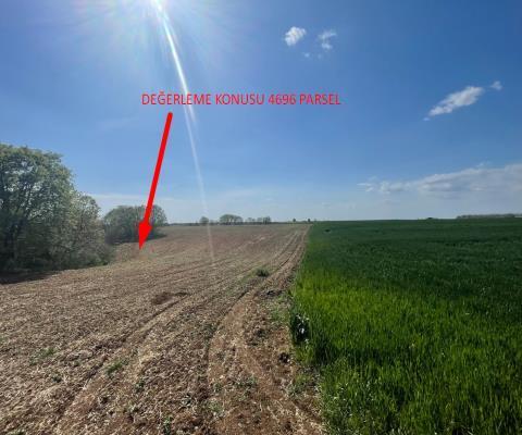 Kırklareli Lüleburgaz Satılık 16.000m2 Tarla — foto 4