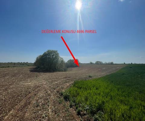 Kırklareli Lüleburgaz Satılık 16.000m2 Tarla — foto 5