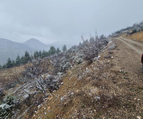 Amasya Merkez 1656m2 Muhtelif Arsa — foto 3
