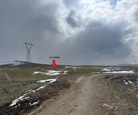 Konya Ereğli Satılık Tarla — foto 3