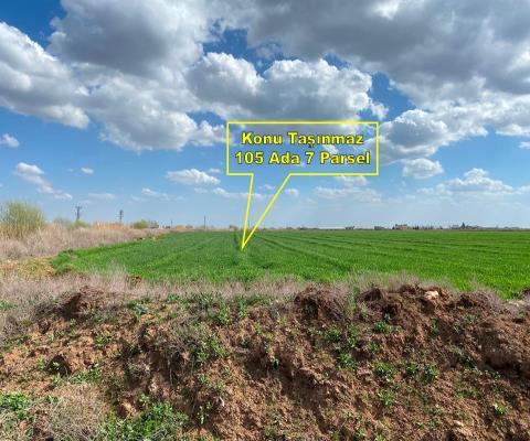 Şanlıurfa Harran Satılık Tarla — foto 2